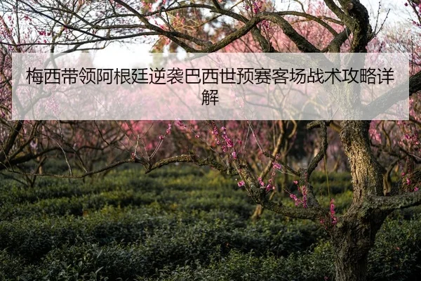 梅西带领阿根廷逆袭巴西世预赛客场战术攻略详解